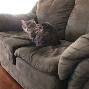 Meet your Posher, Shaina